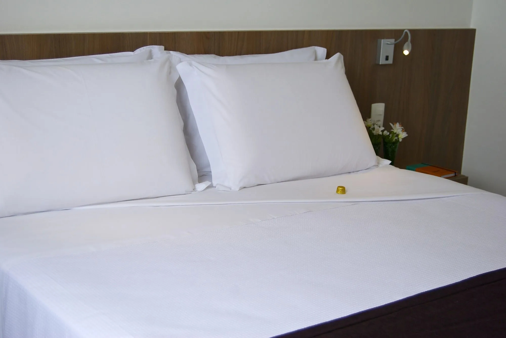 Foto - Itapoã Executive Hotel