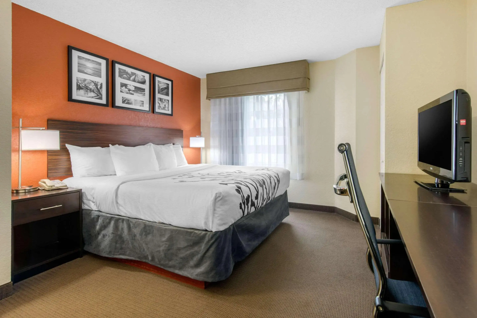 Foto - Sleep Inn Sarasota North