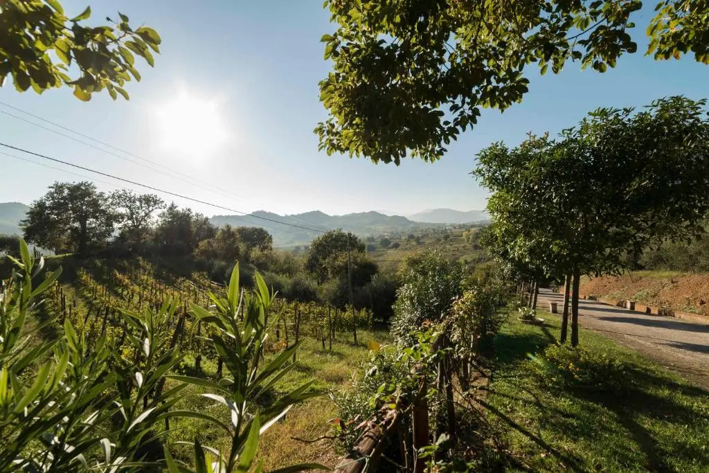 Foto - Tenuta D'Amore