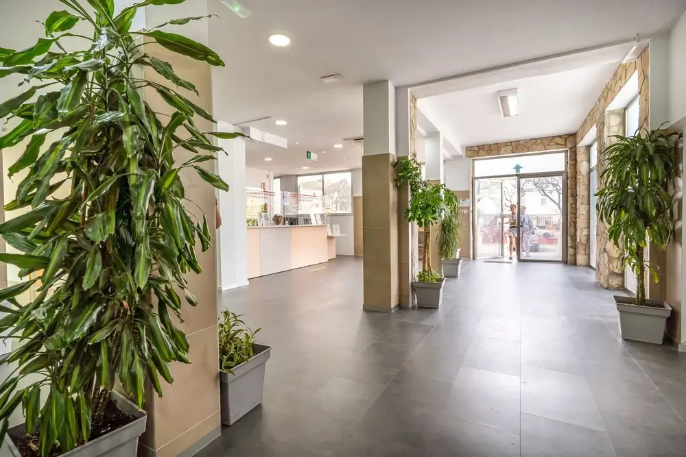 Photo - Albergue Inturjoven Jerez De La Frontera