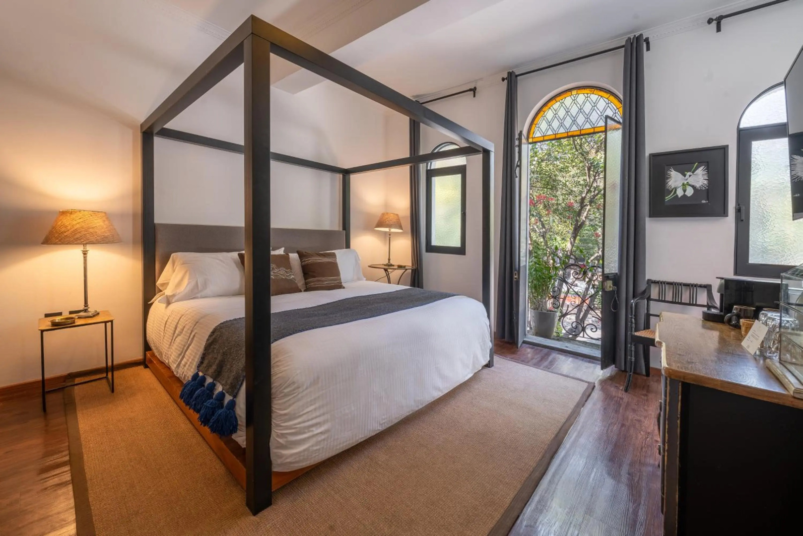 Photo - Orchid House Mexico City