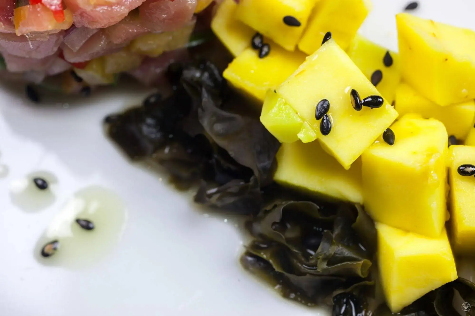 Foto - Sky Collection Lifestyle Hotel & Suites Barranquilla