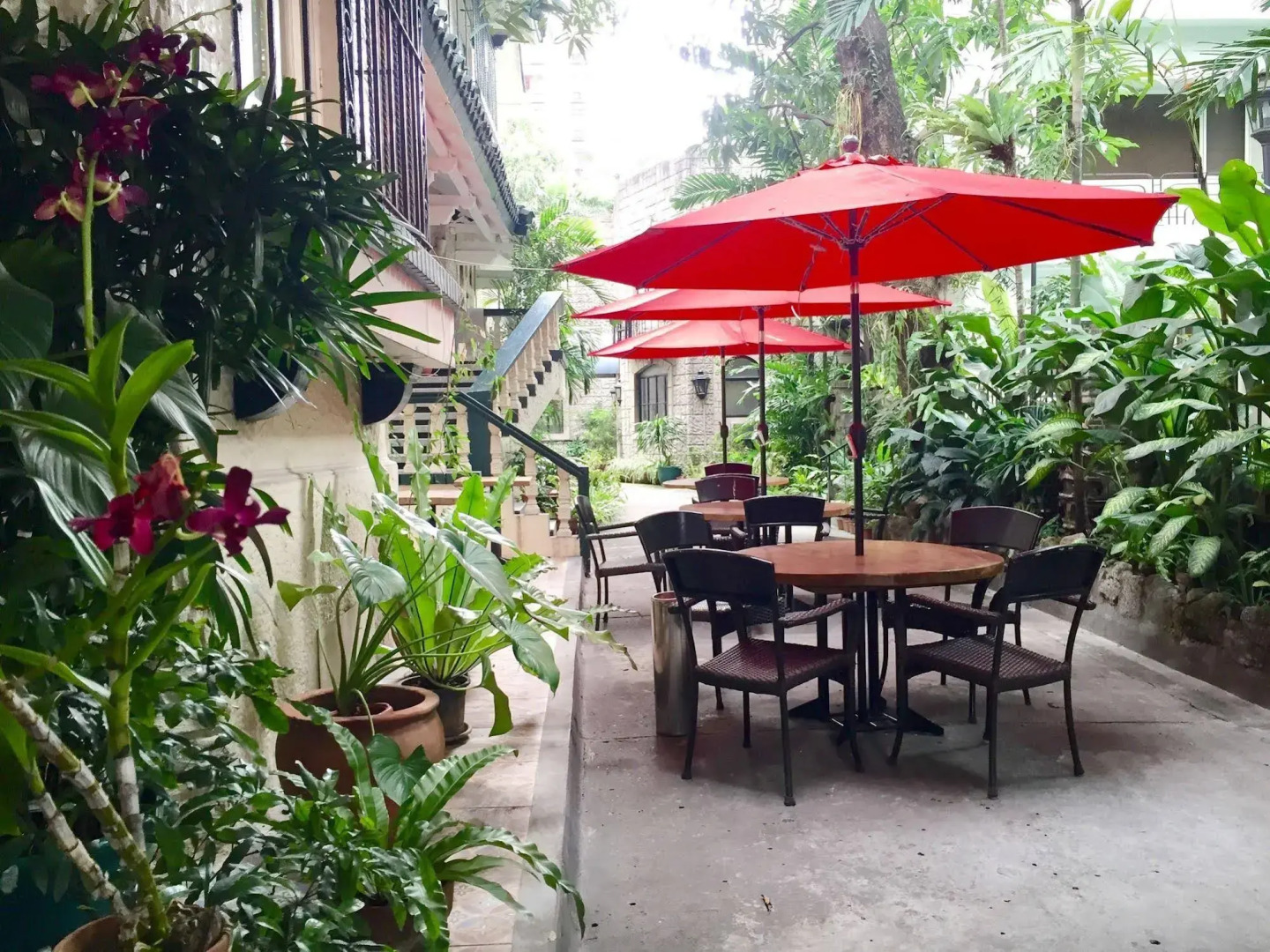 Foto - Orchid Garden Suites