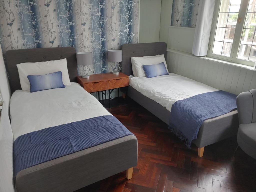 Foto - The Walrus Bar and Hostel