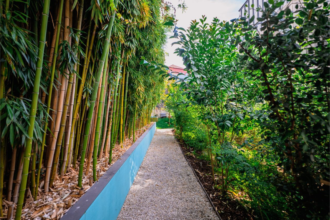 Foto - Jardim da Batalha Boutique Hotel by Shiadu