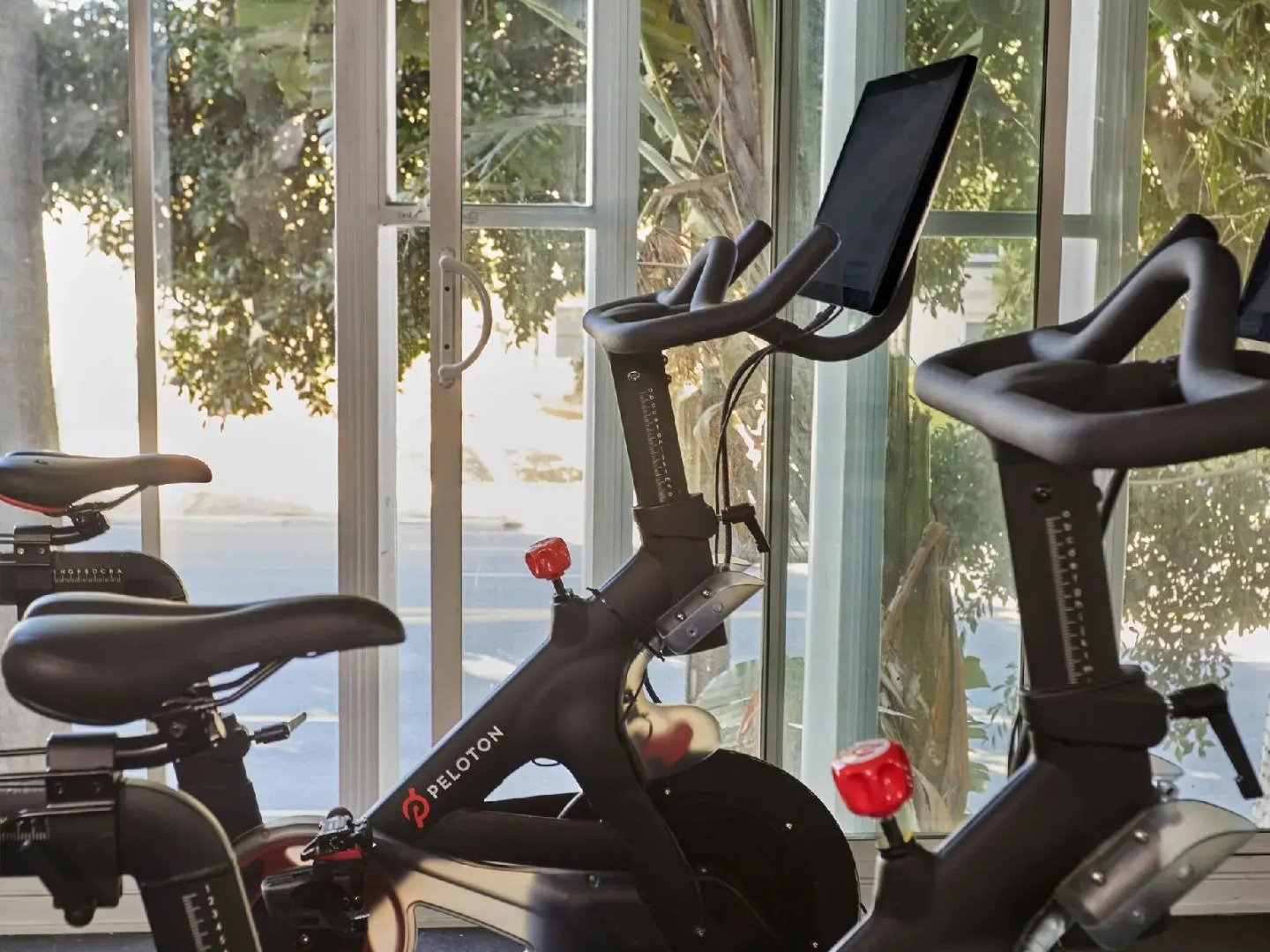 Foto - Avalon Hotel Beverly Hills, a Member of Design Hotels