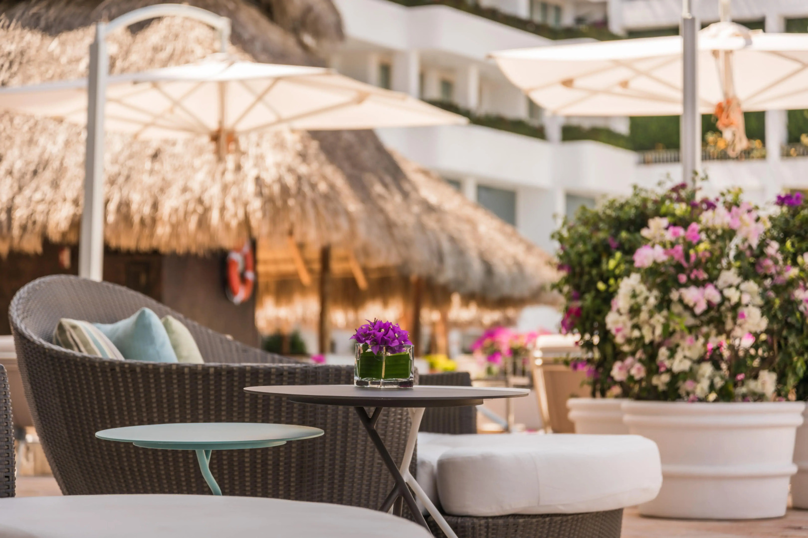 Foto - Grand Miramar All Luxury Suites & Residences