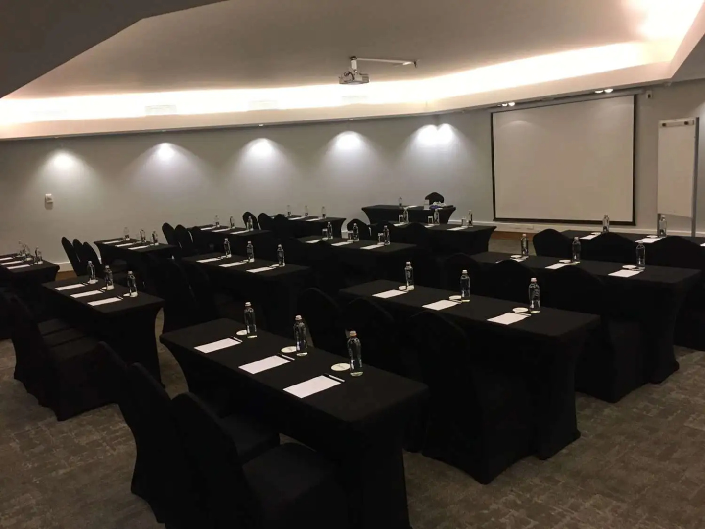 Photo - Radisson Hotel Puerto Varas