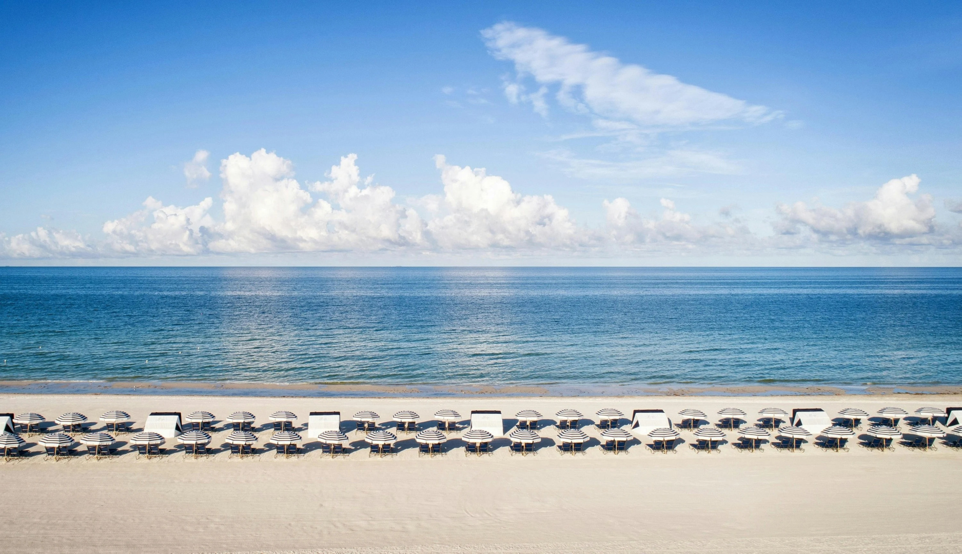 Foto - St Pete Shores Hotel