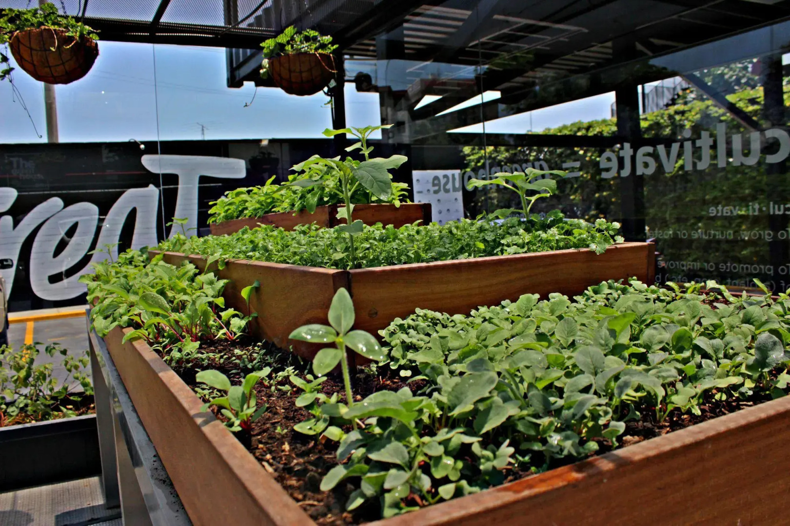 Foto - BTH Hotel – Boutique Concept