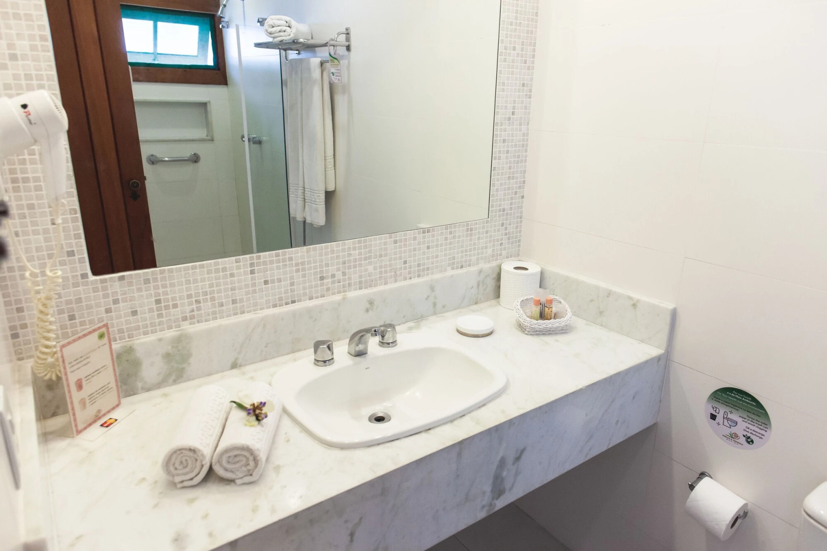 Photo - Corais e Conchas