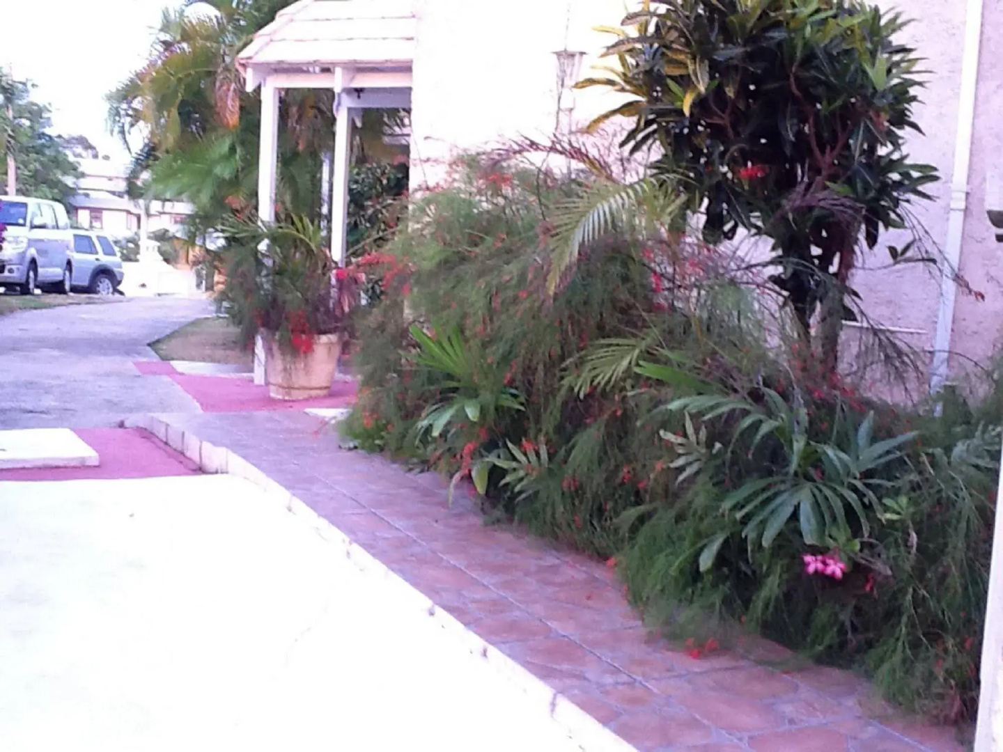 Foto - Seacruise Villa