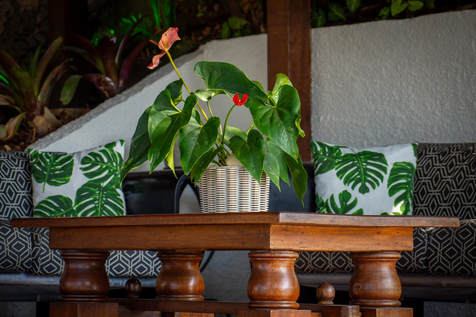 Foto - Pousada Lestada by Latitud Hoteles