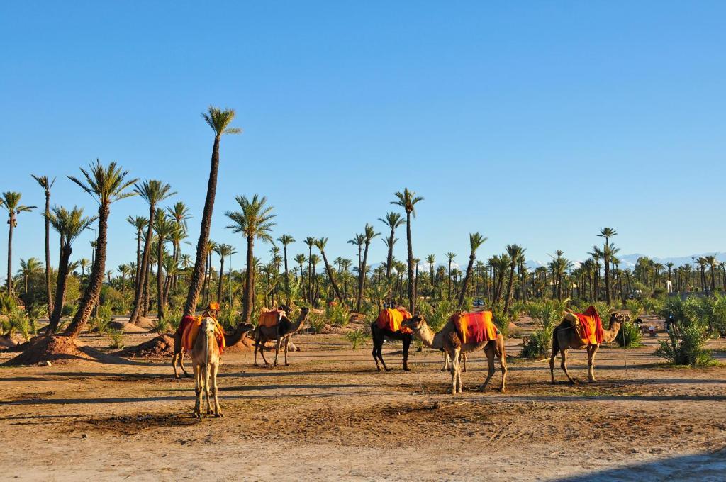 Foto - Villa Des 3 Golfs