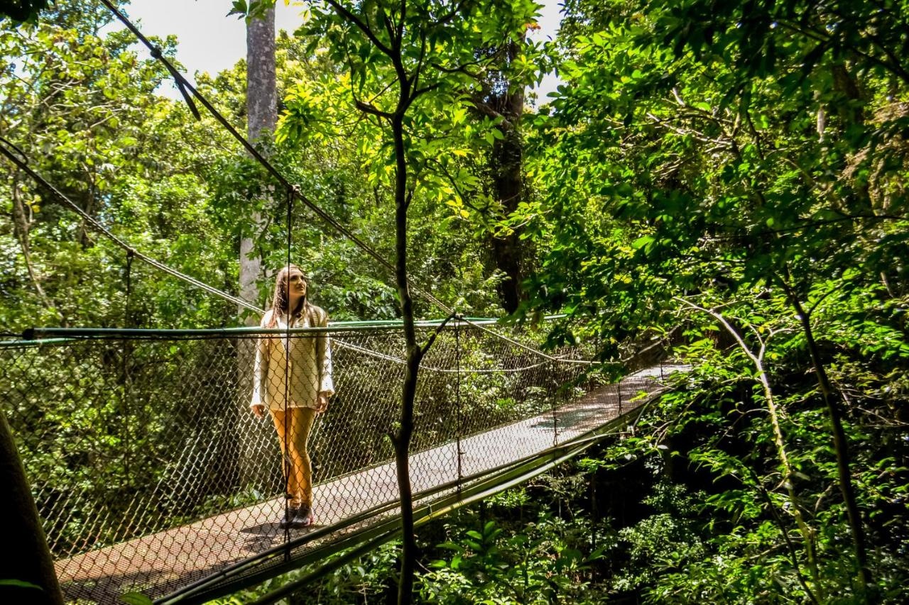 Foto - Jaguarundi Lodge