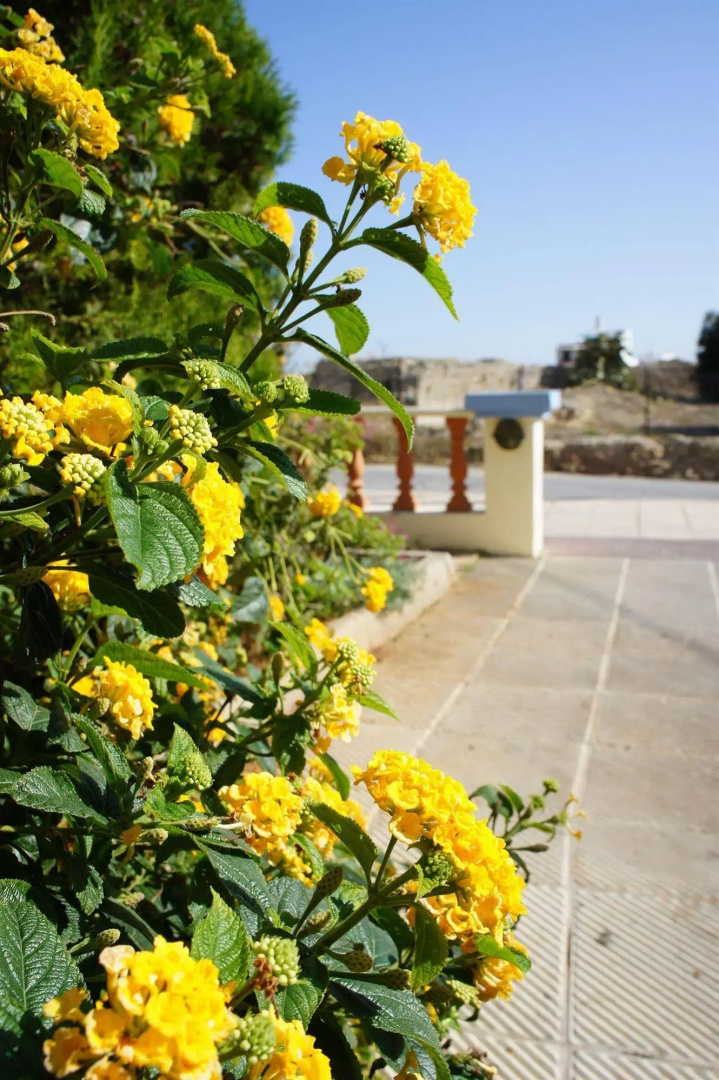 Foto - Senses Blue Boutique hotel