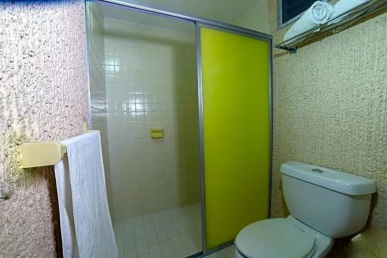 Photo - Hotel Plaza Palmas