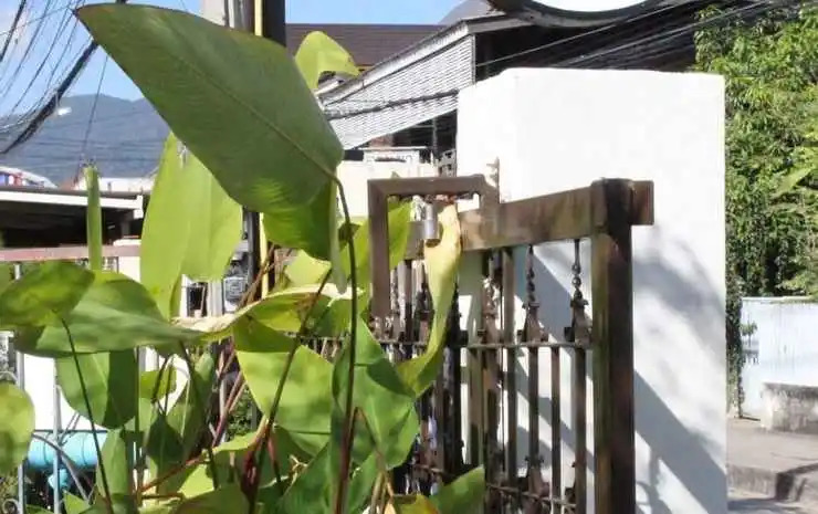 Photo - Kitti Rose Home