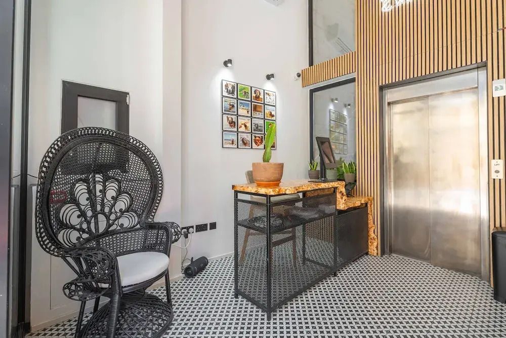 Foto - The Bear and Ween