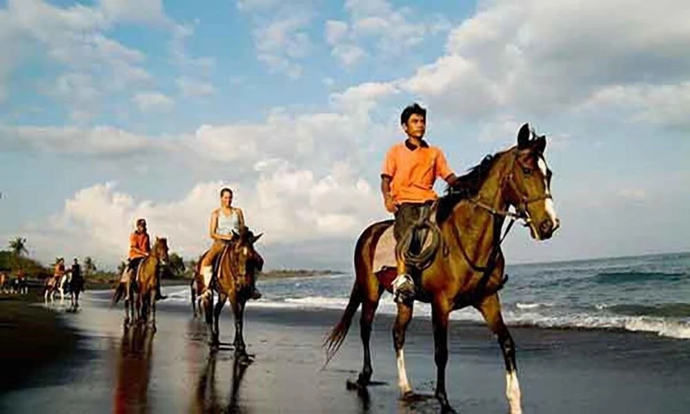 Foto - Ubud Mayura Private Pool Villa