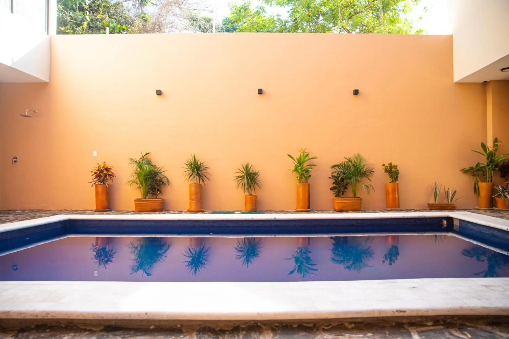 Foto - Punta Zicatela Hotel - Adults Only