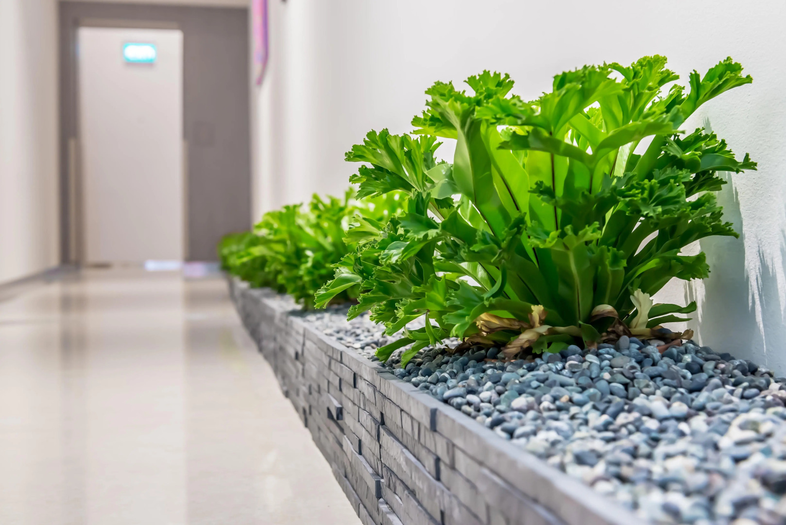 Foto - Summer View Hotel