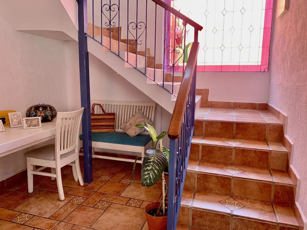 Photo - Villa Coyoacan