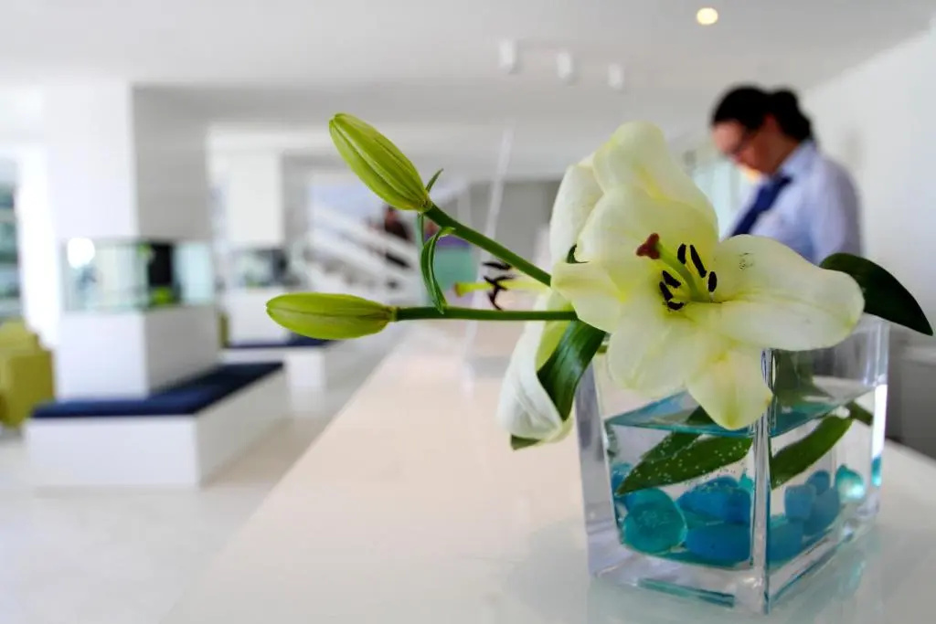 Foto - Hotel Cavtat