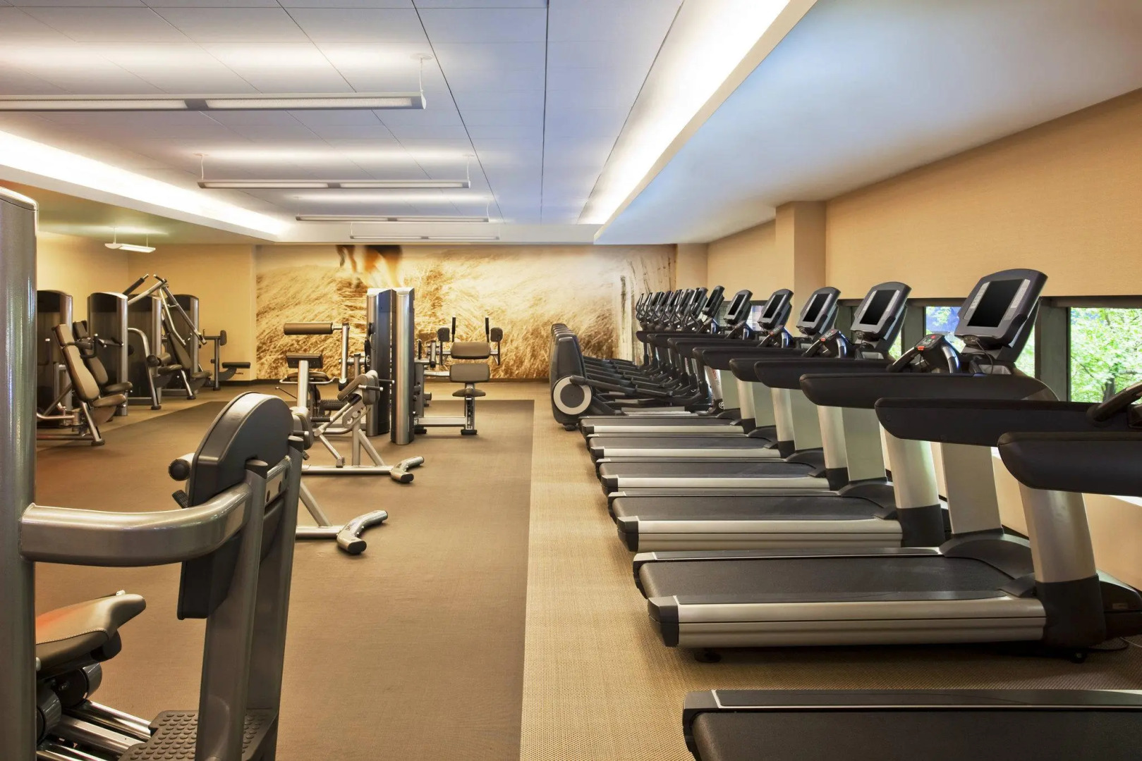 Foto - The Westin New York Grand Central