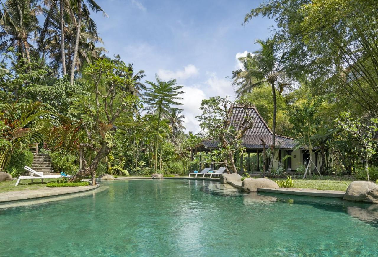 Foto - Korurua Dijiwa Ubud