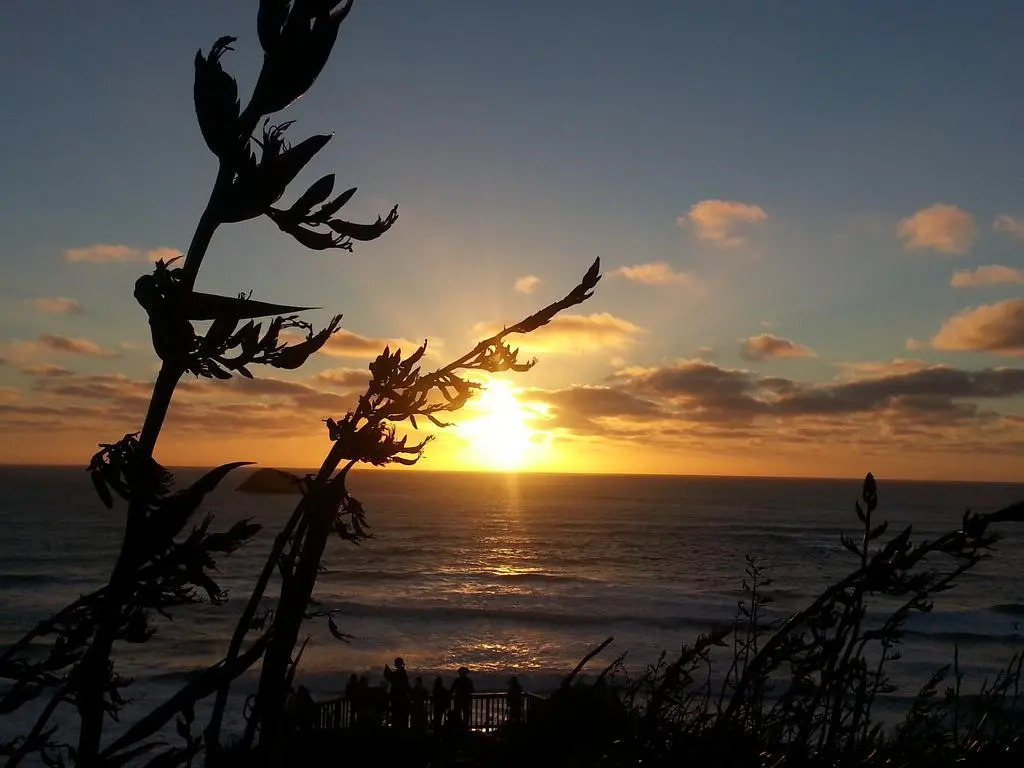 Photo - Lush & Co Auckland Bed & Breakfast