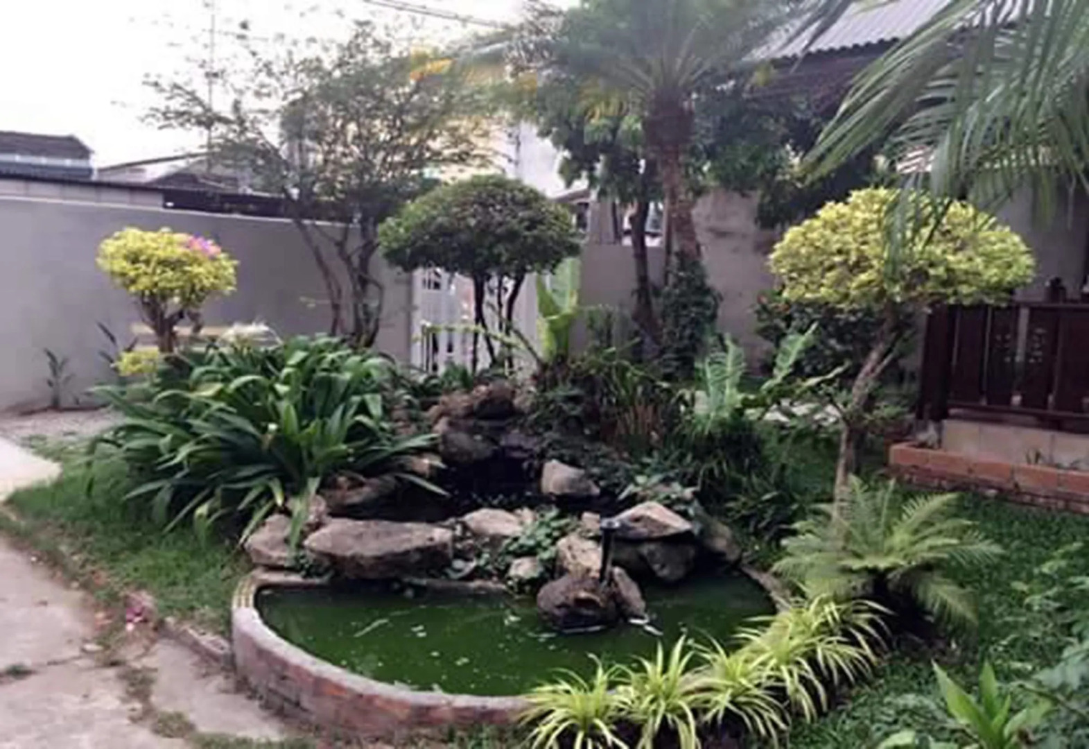 Foto - Little Home Guesthouse