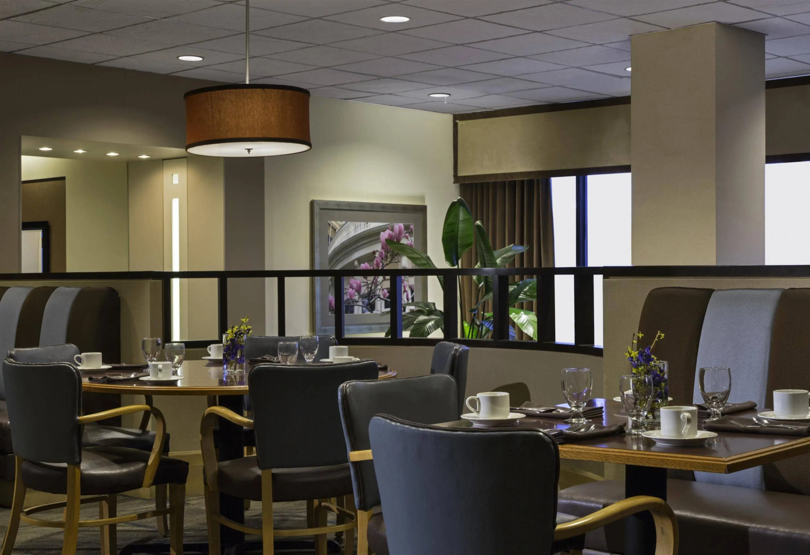 Foto - Sheraton Houston Brookhollow Hotel