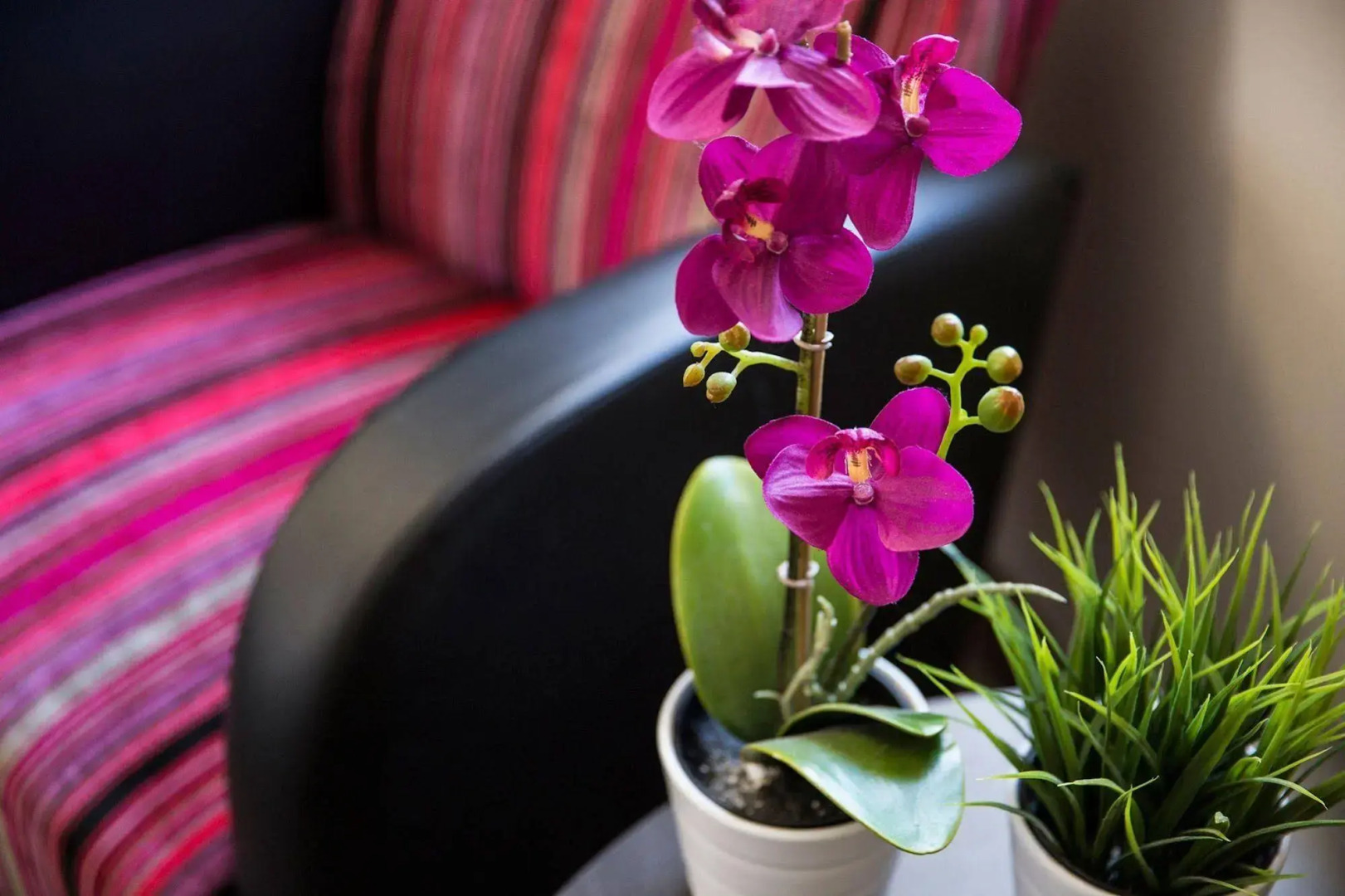 Foto - Toongabbie Hotel