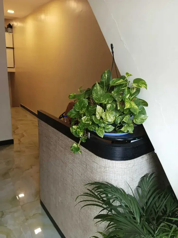 Foto - New Hotel Tara By Glitz Hotels