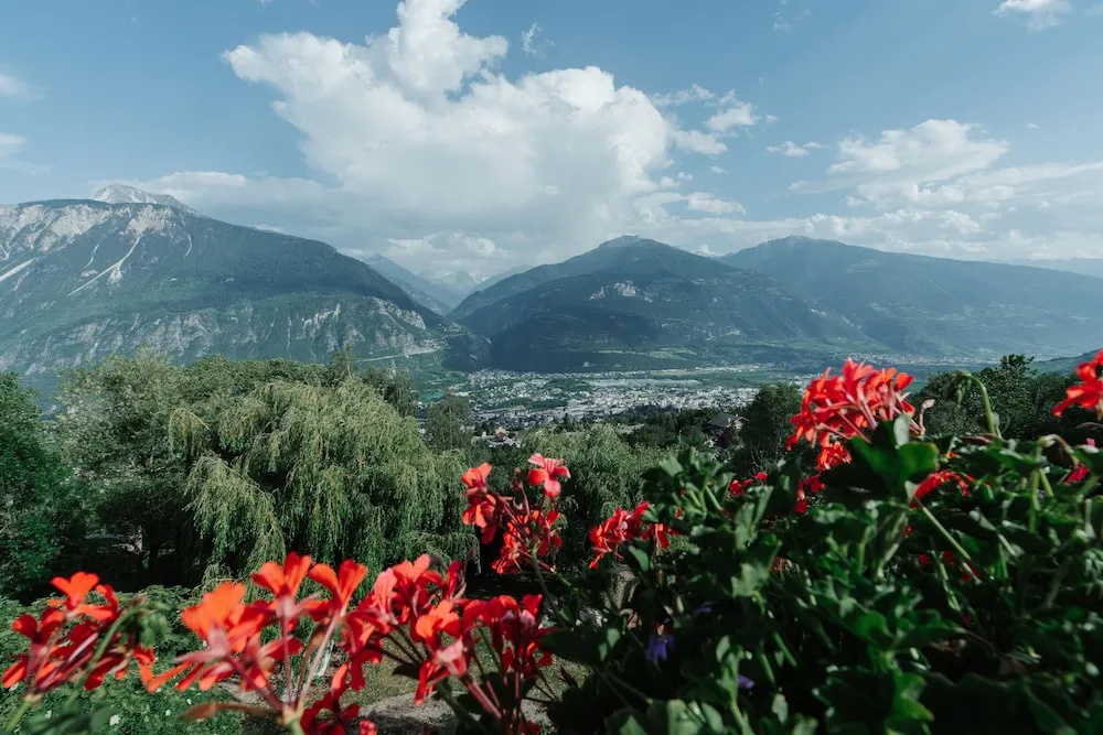 Photo - Hotel Panorama