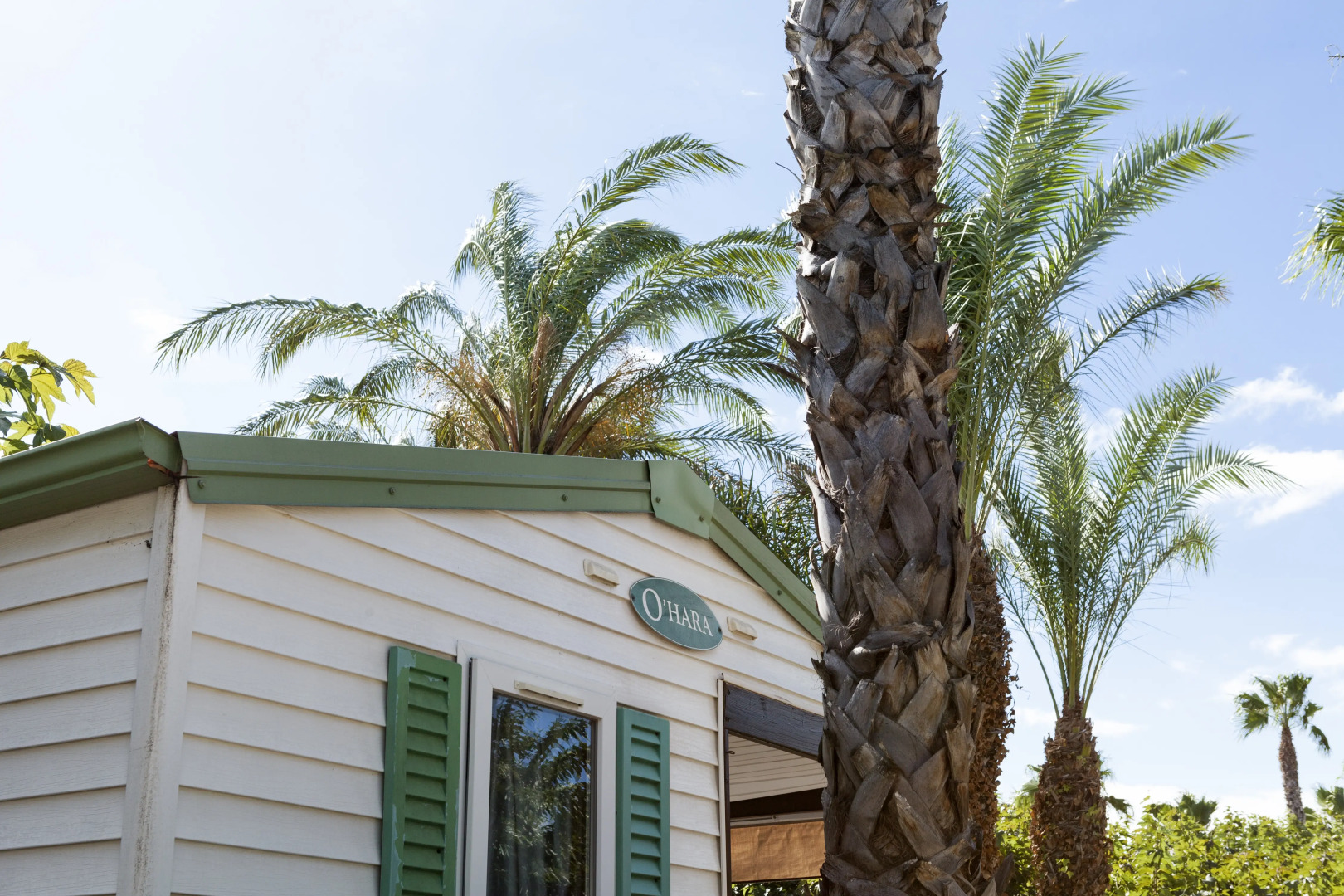 Photo - Camping Platja Cambrils