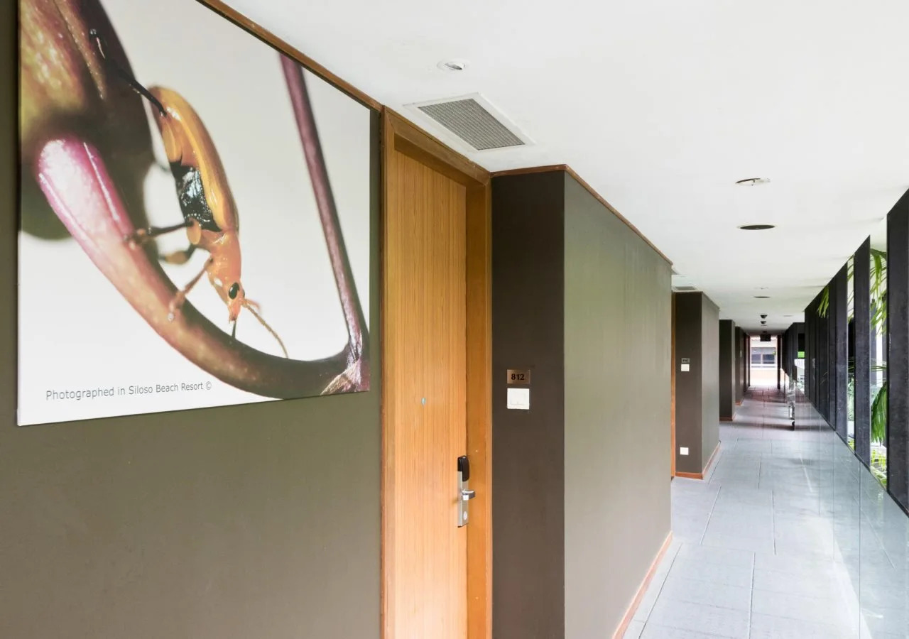 Foto - Siloso Beach Resort - Sentosa