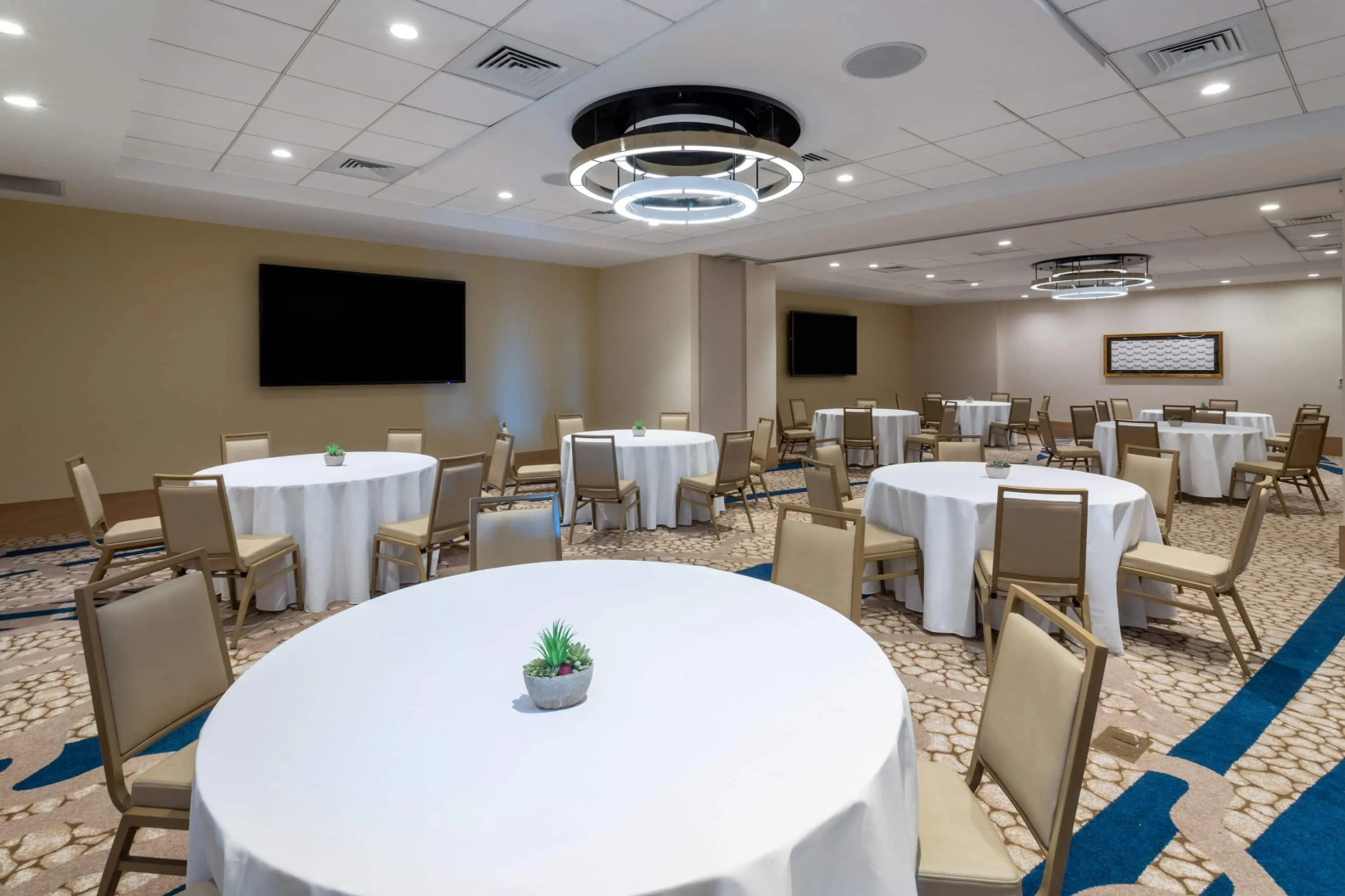 Foto - Wyndham Grand Clearwater Beach