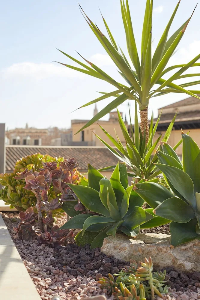 Photo - Palma Riad - Adults Only