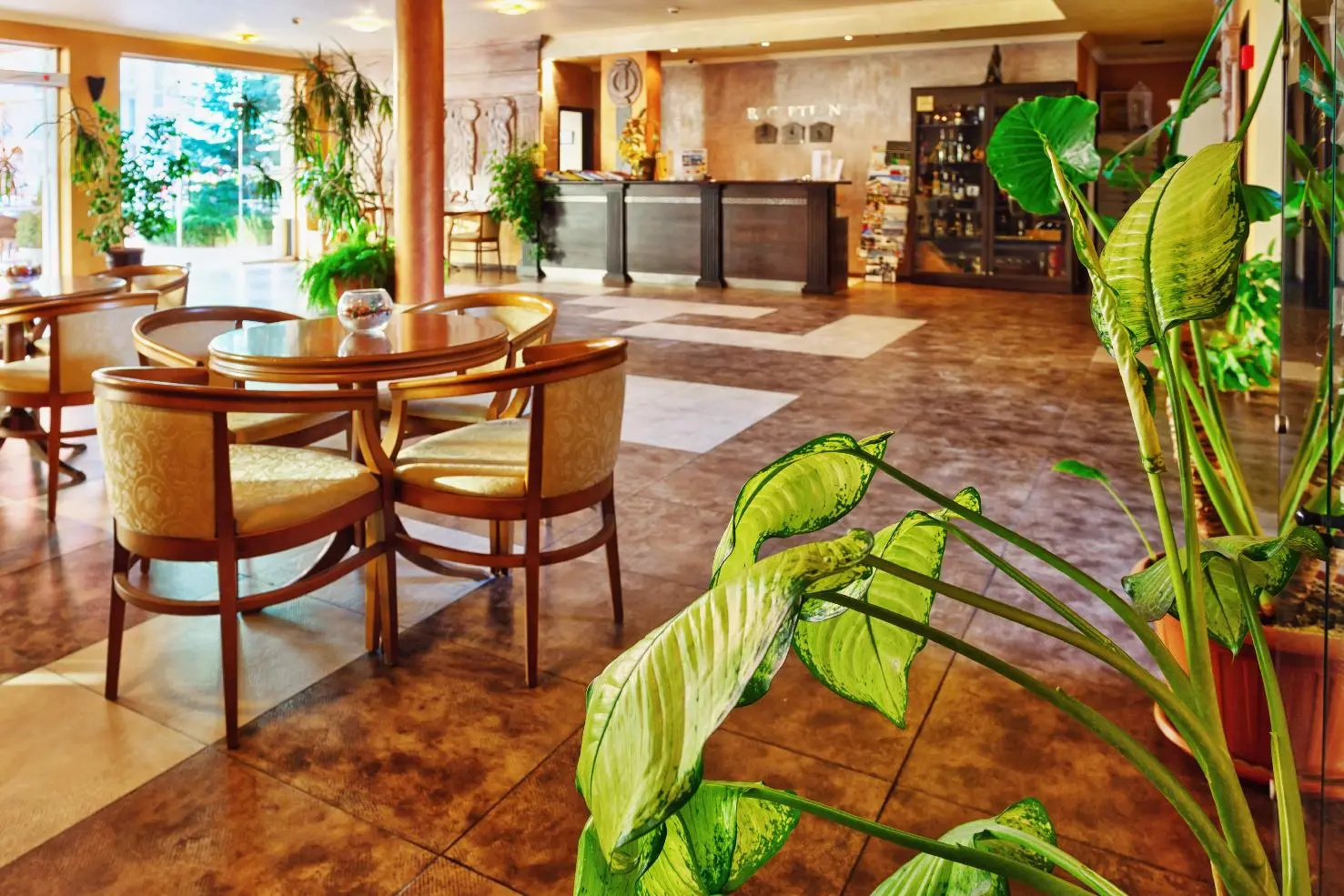 Photo - Hotel Forum