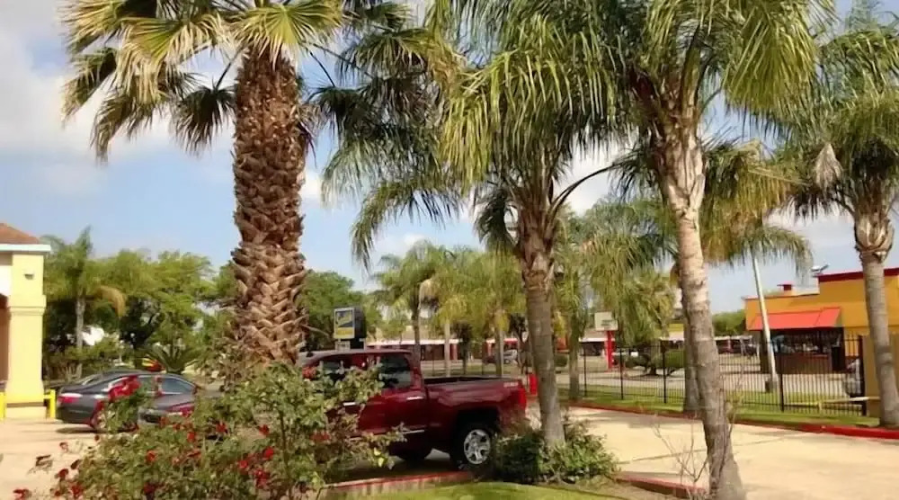 Foto - Scottish Inn & Suites Hobby Airport