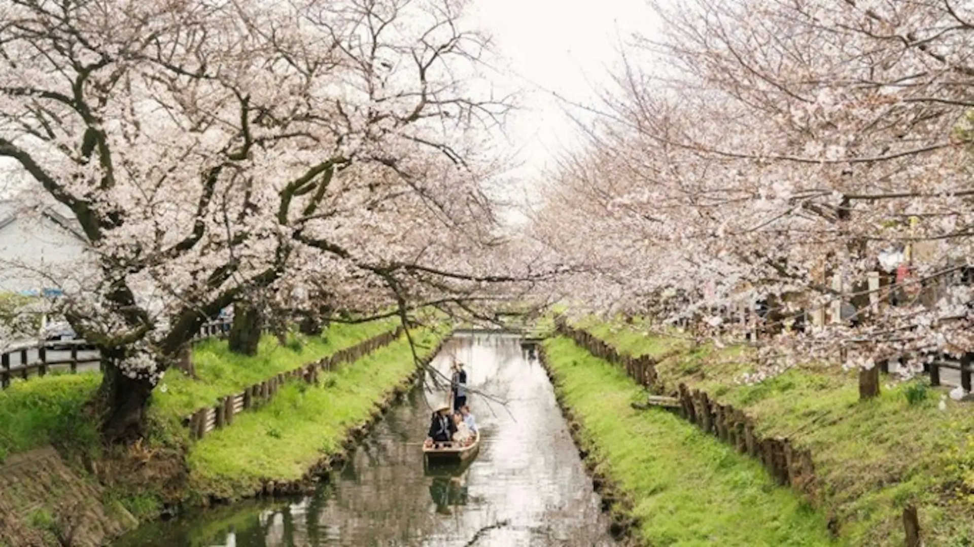 Foto - Kawagoe Prince Hotel