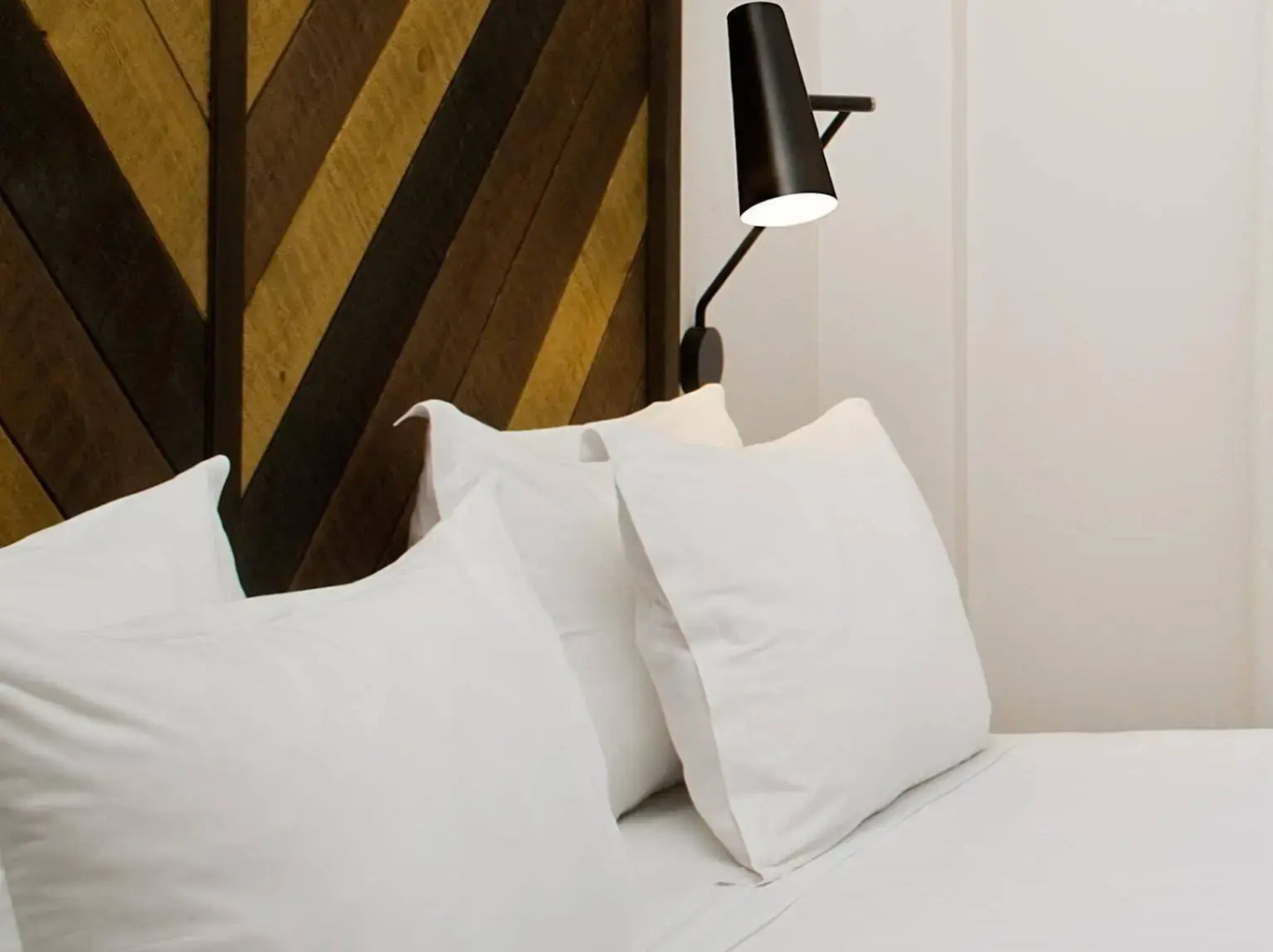 Foto - Praktik Vinoteca