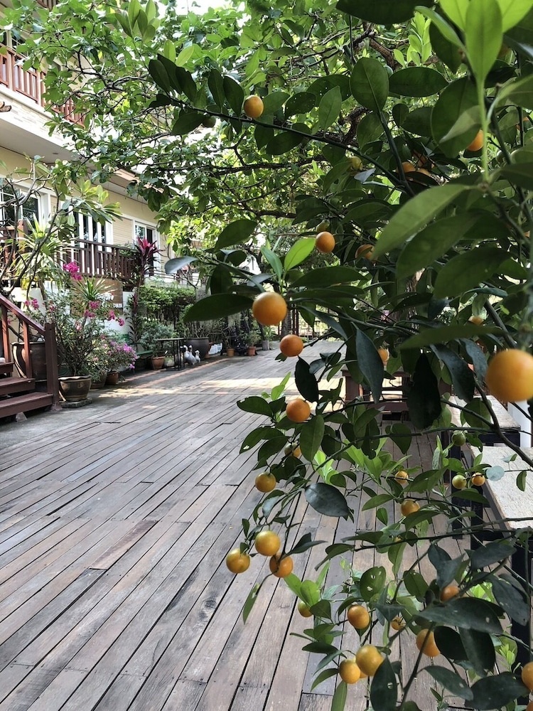 Romyen cafe homestay