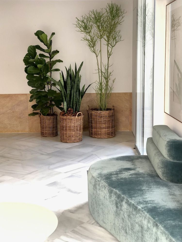 Photo - Hotel Tayko Sevilla