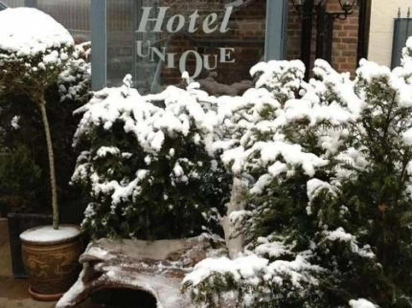 Photo - Hotel Unique