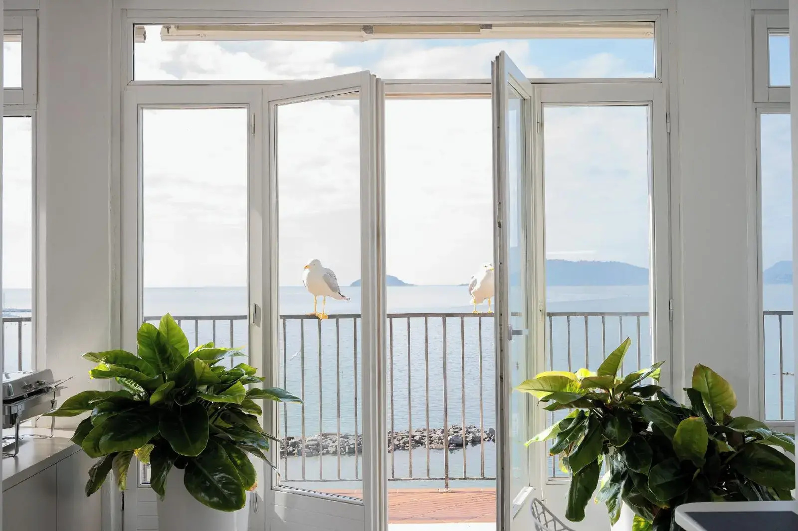 Foto - Hotel Venere Azzurra