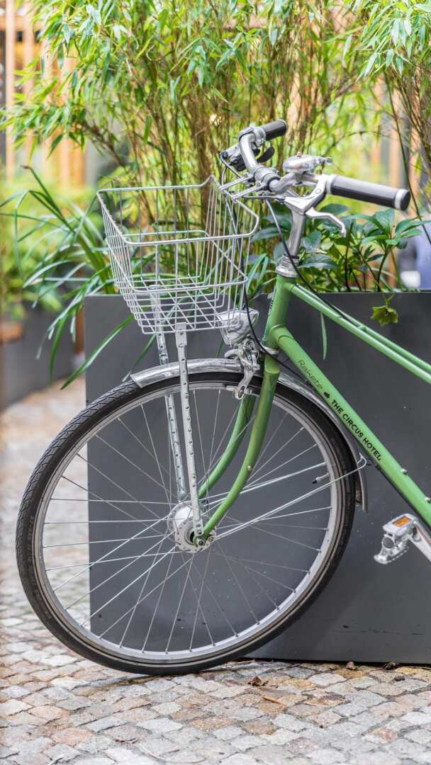 Photo - The Circus Hostel