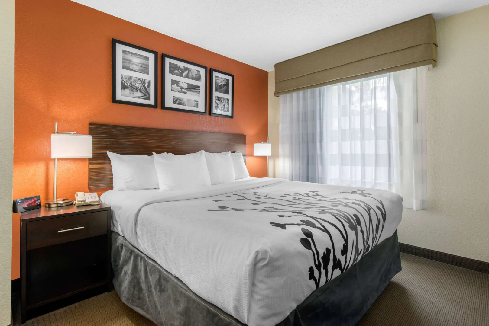 Foto - Sleep Inn Sarasota North